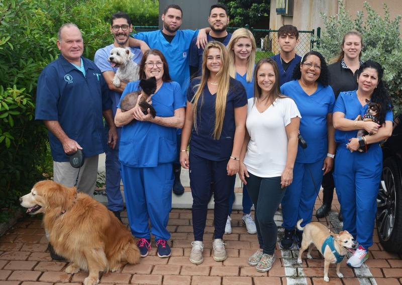 Boca Delray Animal Hospital Delray Beach Veterinarians